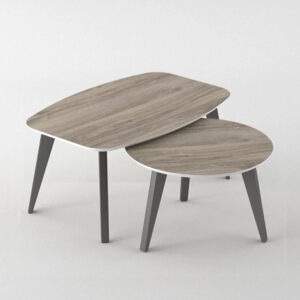 CONJUNTO LA VALENZIANA BOTE EBANO BALTICO