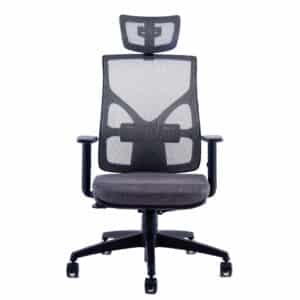 SILLON ROLIC COOL + CABEZAL AP 309 NEGRO